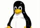 Deterset Electronics Supports Linux